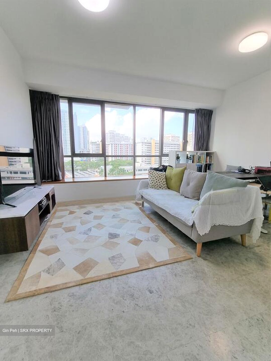 Skyline Residences (D4), Condominium #516836421